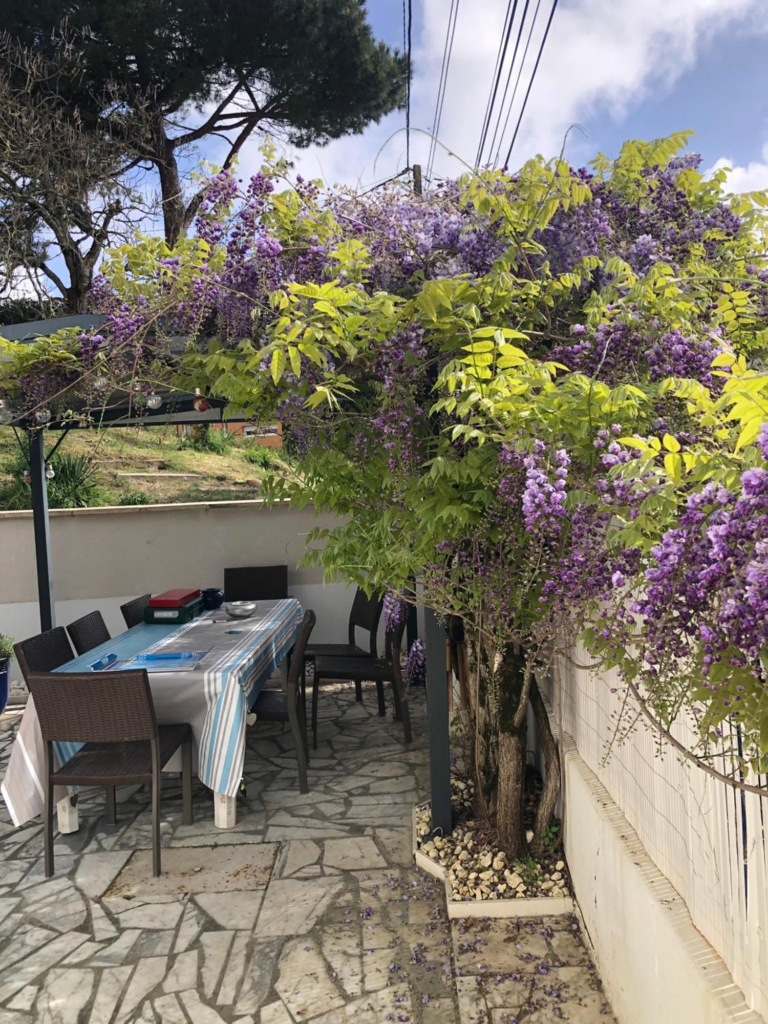 Charmante Petite Maison Typique Royan Juillet Location Minimum 7 Jours Pas De Court Sejour Saint-Georges-de-Didonne Bagian luar foto